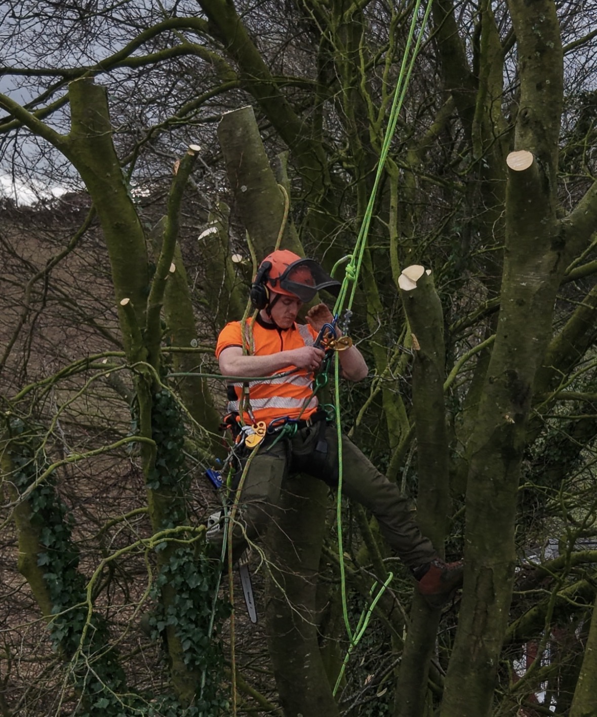 Andy in the tree giving a thumbs up